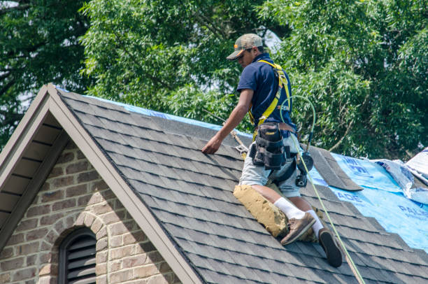 Best Roof Gutter Cleaning  in Burnettown, SC